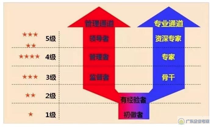 华为五级双通道的员工职业发展路径